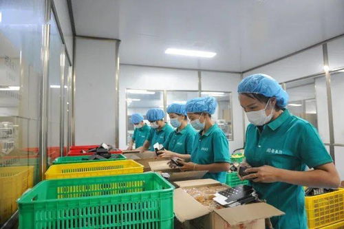 濃濃中秋情，感恩志愿者 愛心企業(yè)慰問市城區(qū)疫情防控志愿者與食品添加劑生產從業(yè)者